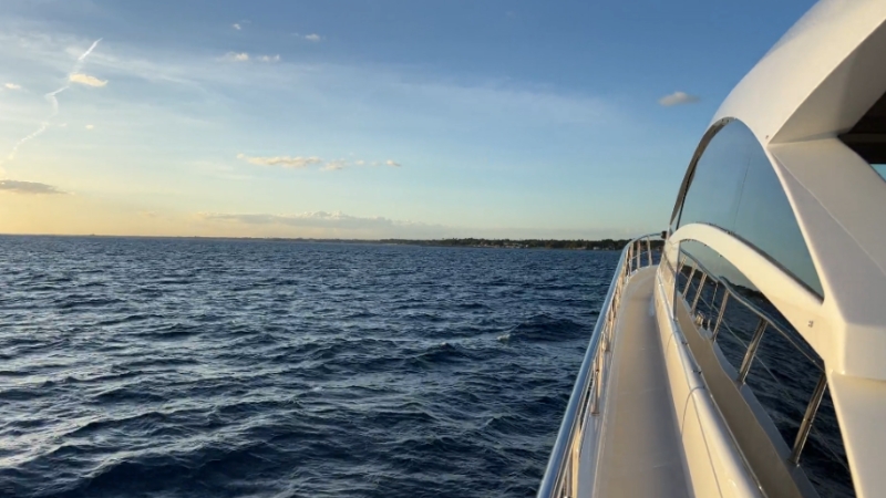 A long river cruise ship glides through calm water beside a tree-lined shore