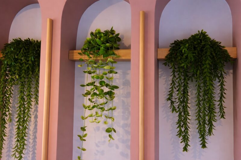 Indoor restaurant wall with hanging plants and natural decorative elements